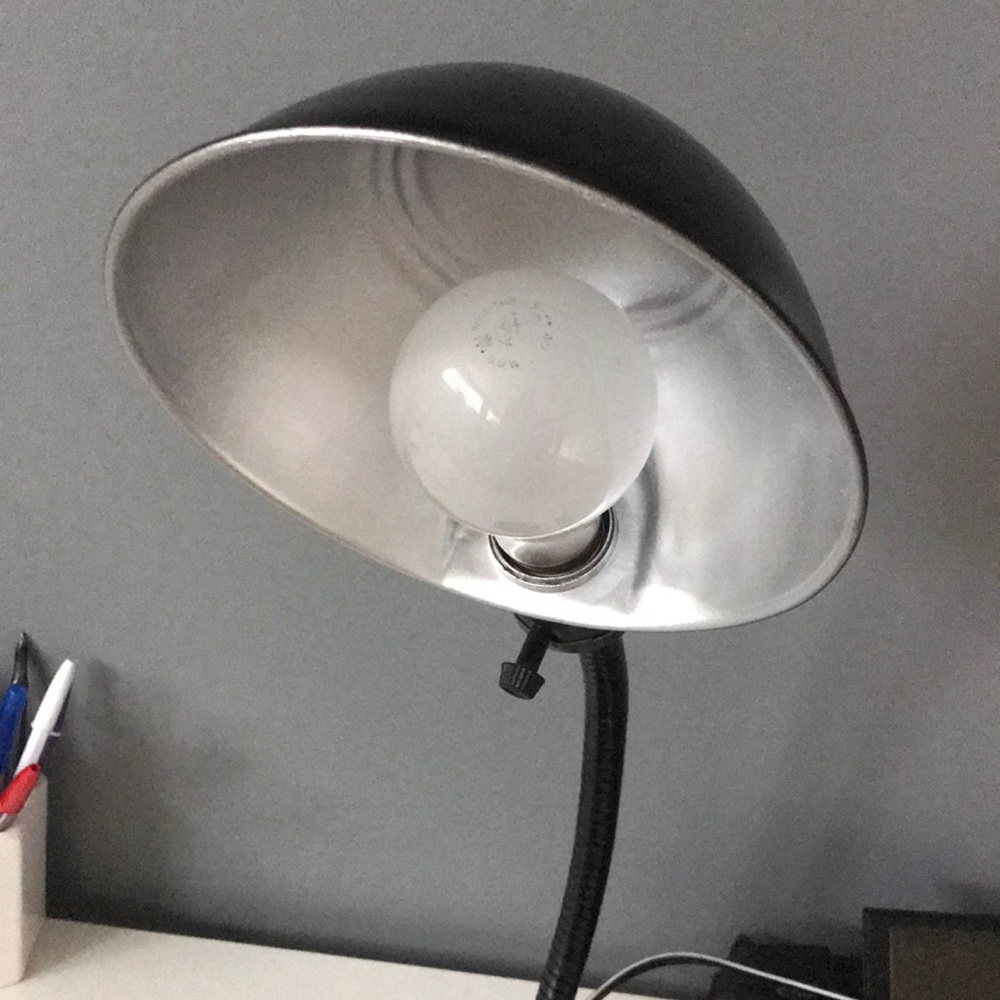 1930s Eagle Gooseneck lamp